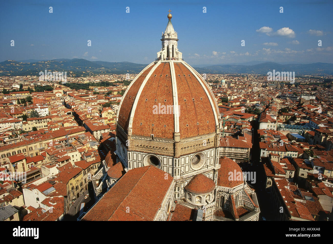 Viewed from the height of the Fort Belvedere the cupola 1436 146 crowning the Basilica of S Maria del Fiore the Duomo or cat Stock Photo