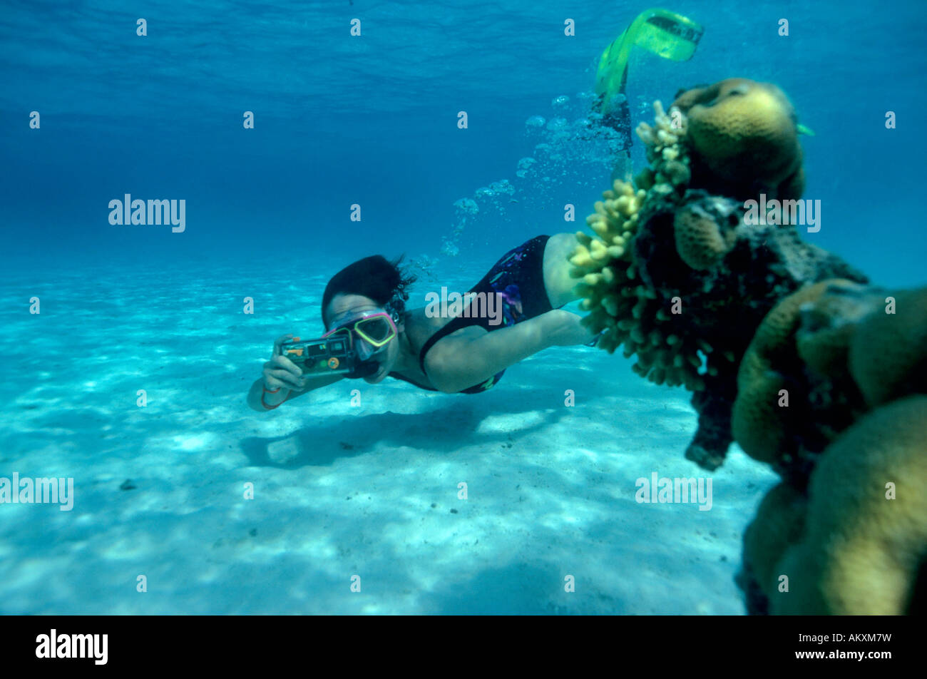 Snorkler with a photo camera in the coral reef Egypt. Stock Photo