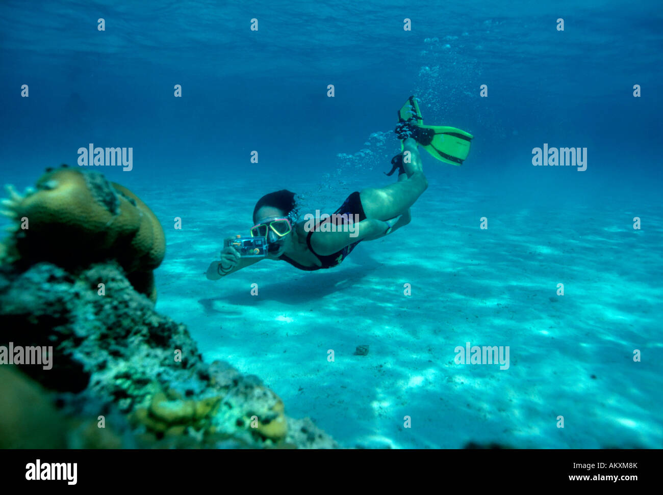 Snorkler with a photo camera in the coral reef Egypt. Stock Photo