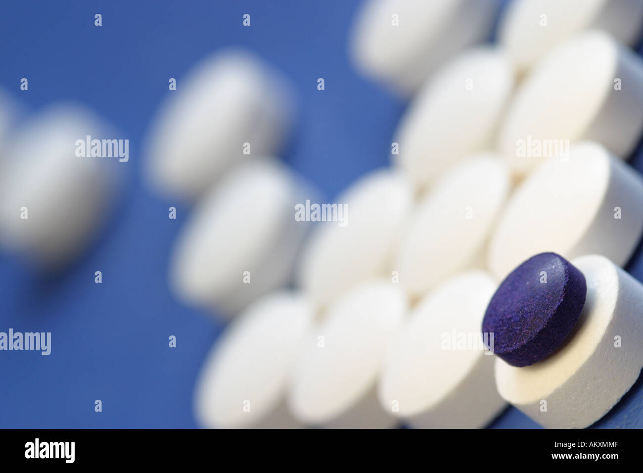 Medicine pill tablet drug with one special blue pill Stock Photo