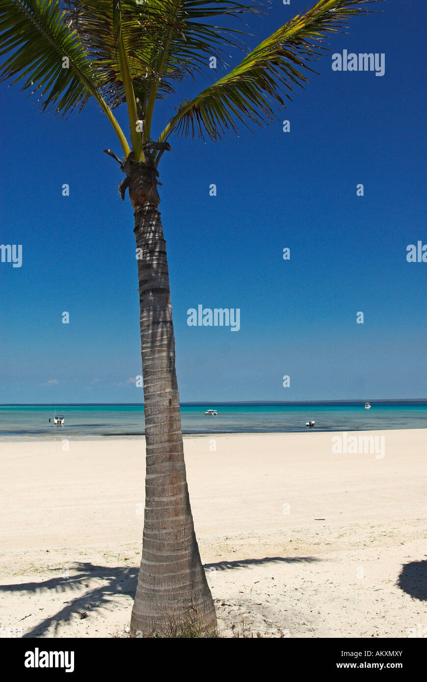 Beach at Matemo Island, Quirimbas islands, Mozambique, Africa Stock Photo