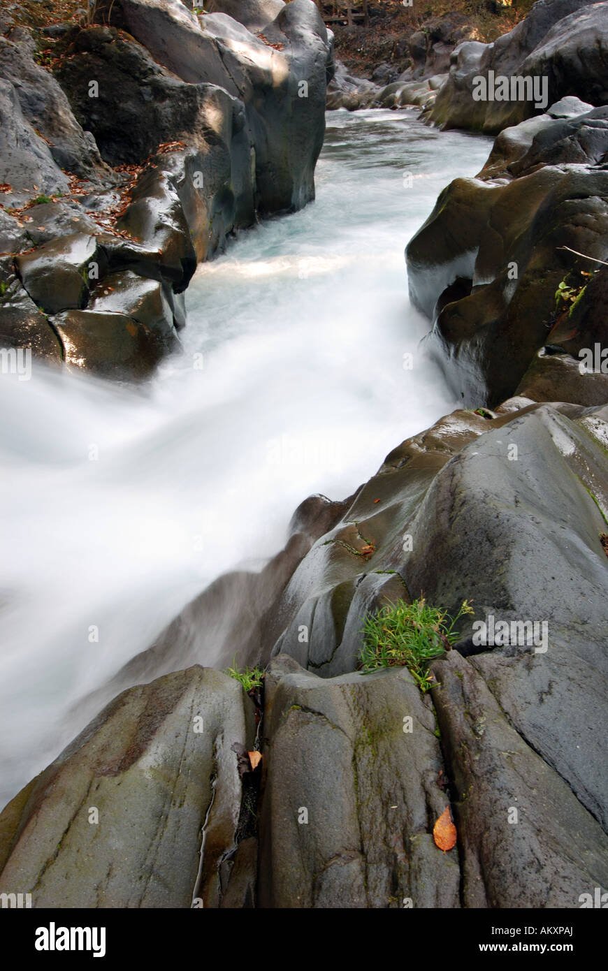 close-up water stream Stock Photo - Alamy