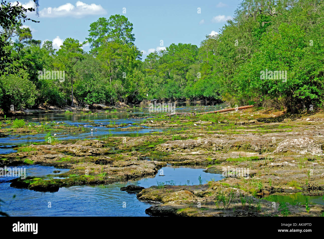Florida Big Shoals State Park rapids low water exposed rocks boulders Stock Photo