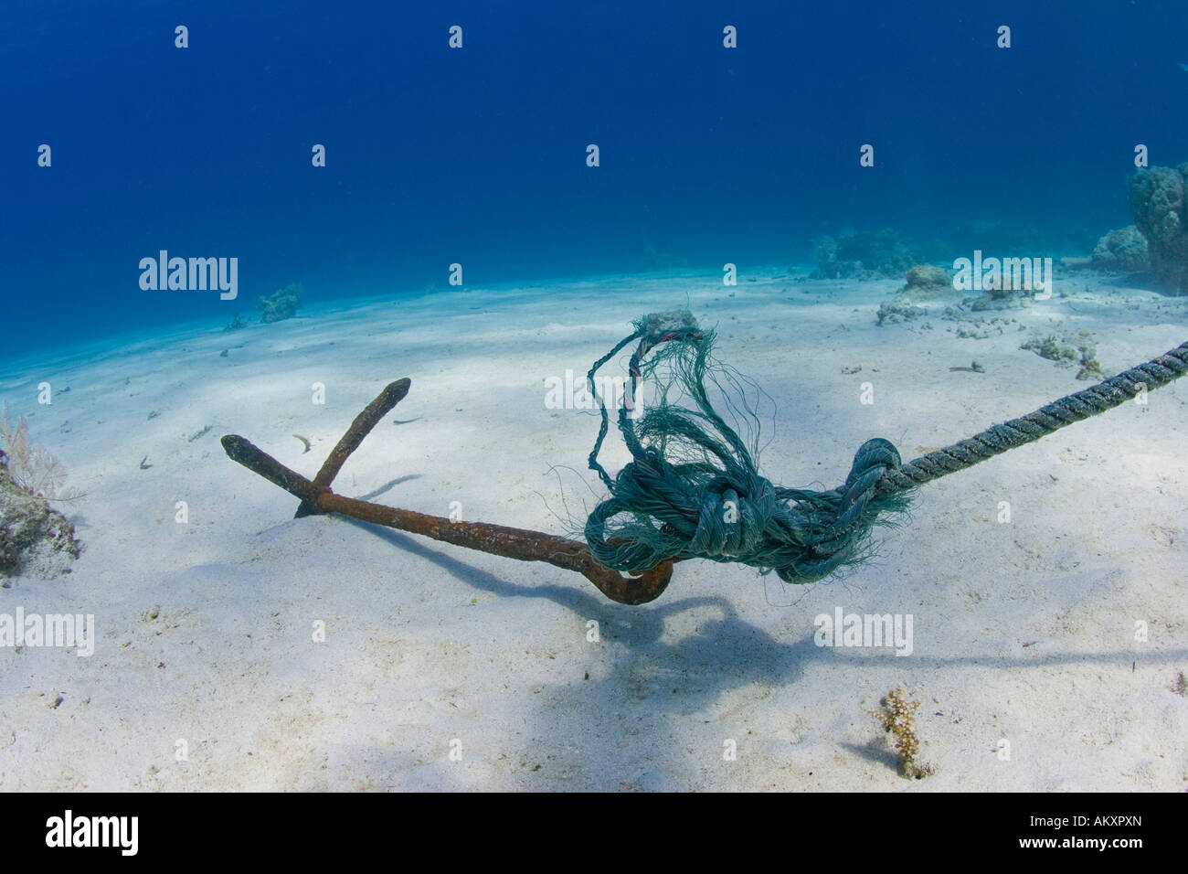 Boat anchor sea floor hi-res stock photography and images - Alamy