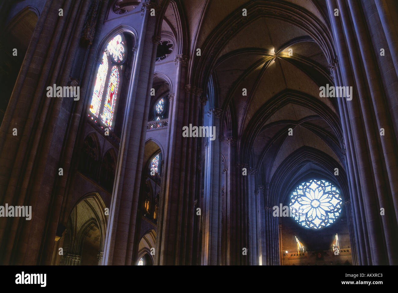 Looking up at some of the arches a rose window and stained glass