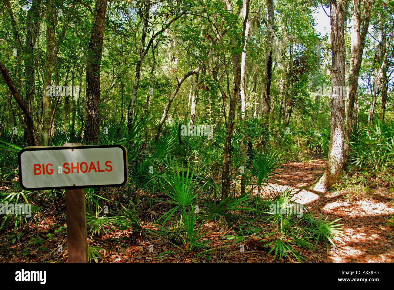 Florida Suwannee River Big Shoals State Park hiking trail Stock Photo