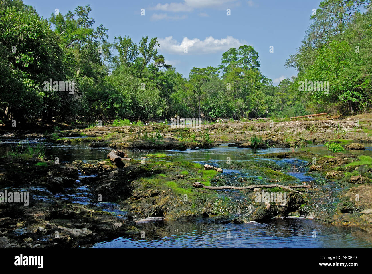 Florida Suwannee River Big Shoals State Park river rapids low water rocks stones Stock Photo