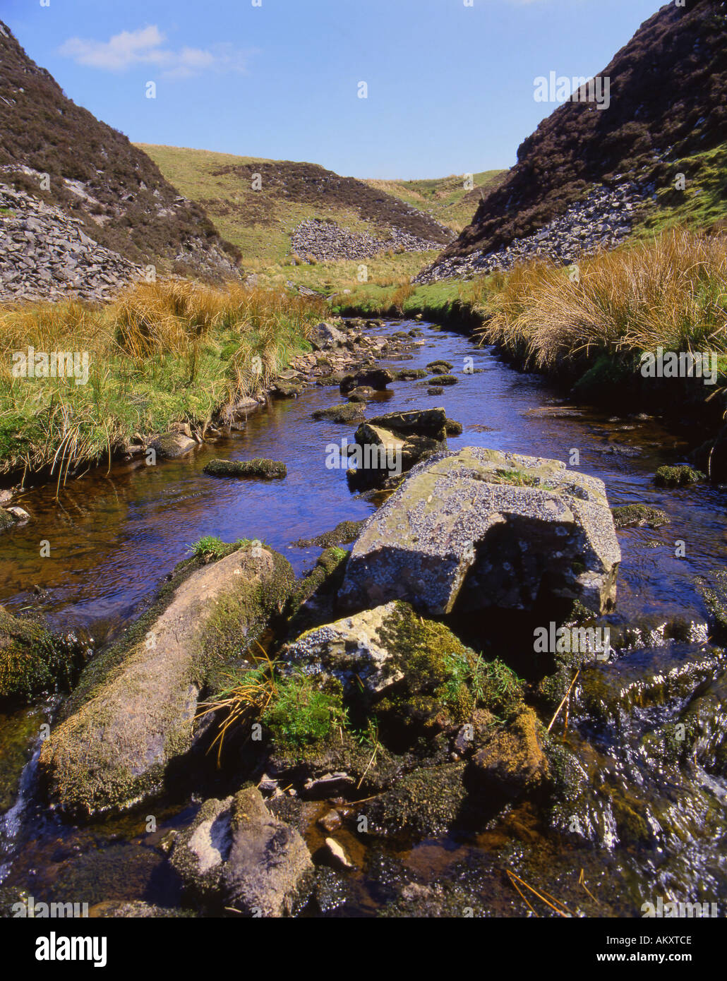 Avon Water Near Darvel Ayrshire Scotland May Stock Photo