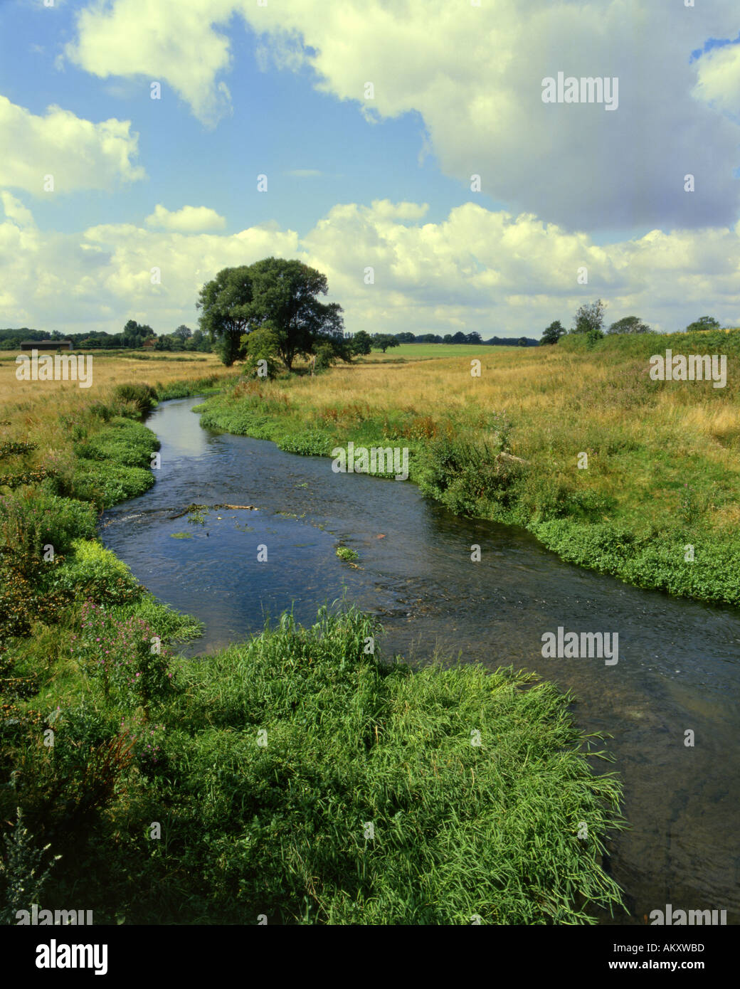 Shallow stretch of river Wey Bentley Hampshire England August Stock Photo