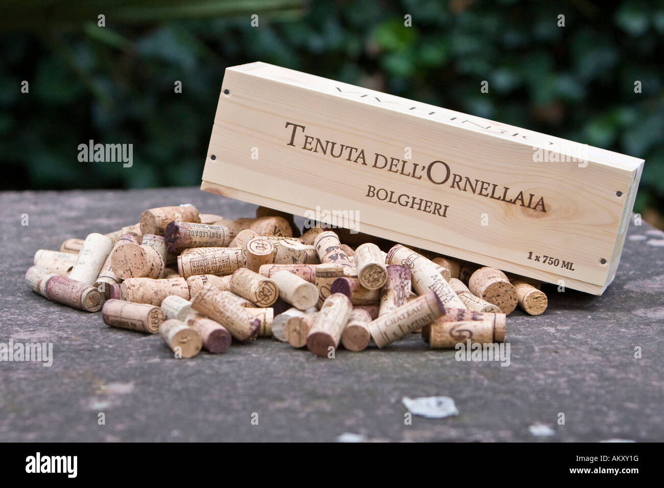 Corks and wine box Stock Photo