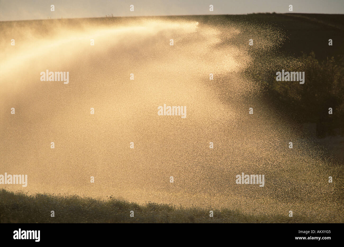 Irrigating crop, Tasmania, Australia Stock Photo