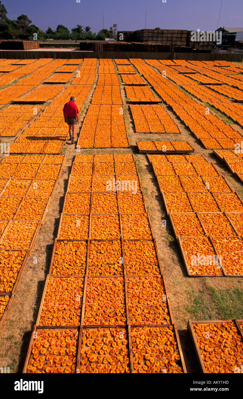 Dried fruit, South Australia Stock Photo Alamy