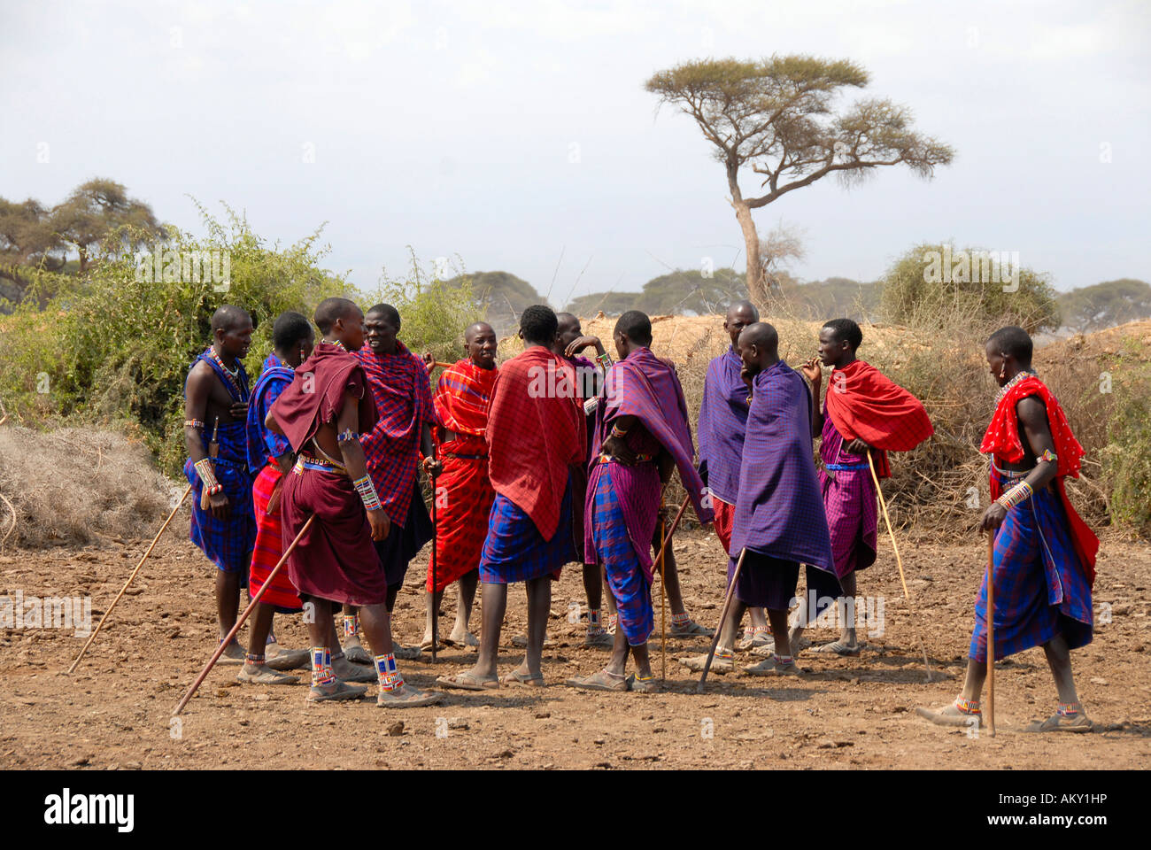 Masai men dressed in colourful capes are standing together in the savannah Amboseli National Park Kenya Stock Photo