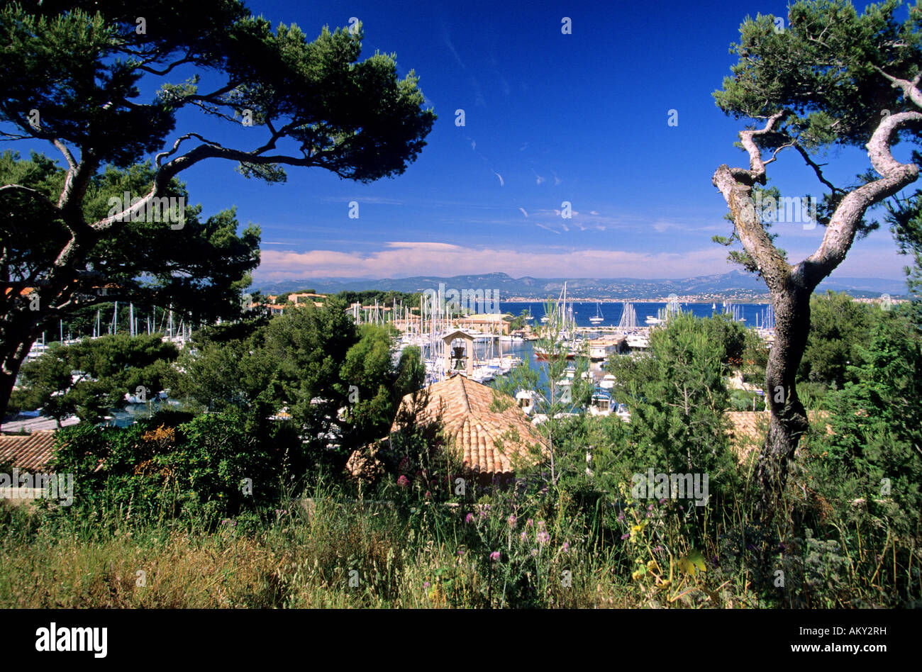 France, Var, Saint Cyr sur Mer, Calanque de Port d' Alon Stock Photo
