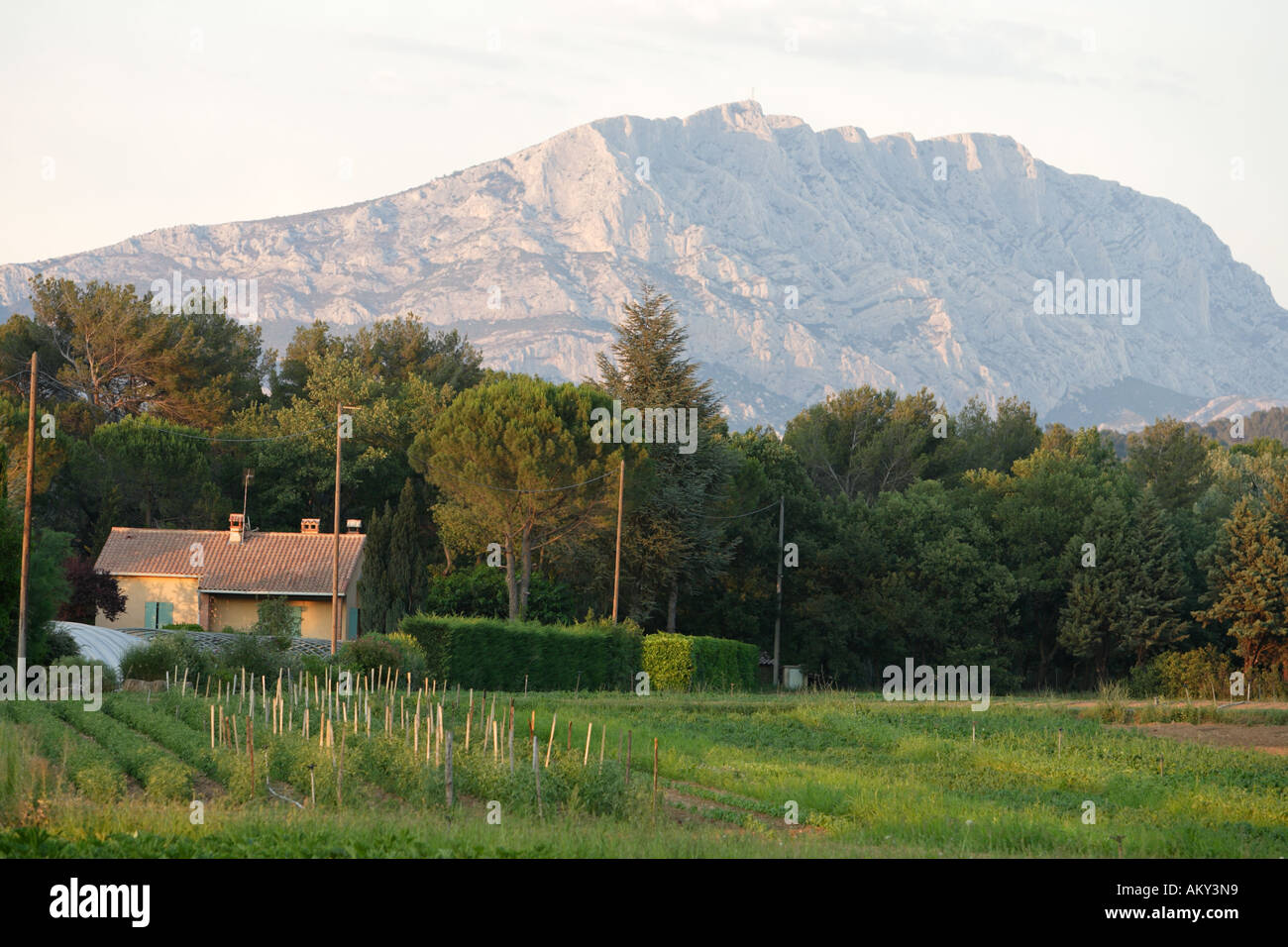 Mount Sainte Victoire near Aix En Provence, Provence France Stock Photo
