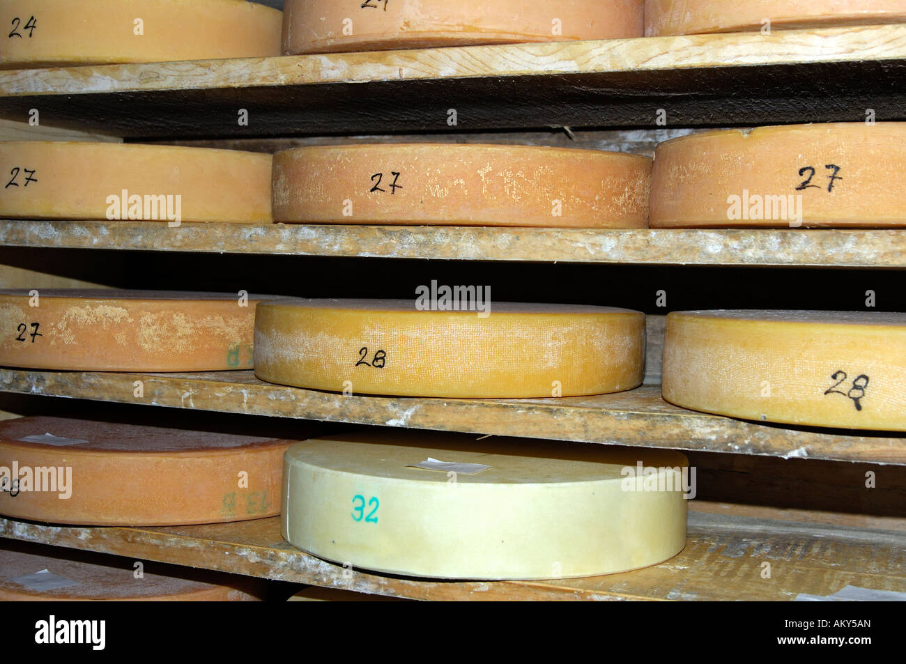 Wheels of Alp cheese in the storehouse of a cheese dairy, Switzerland Stock Photo