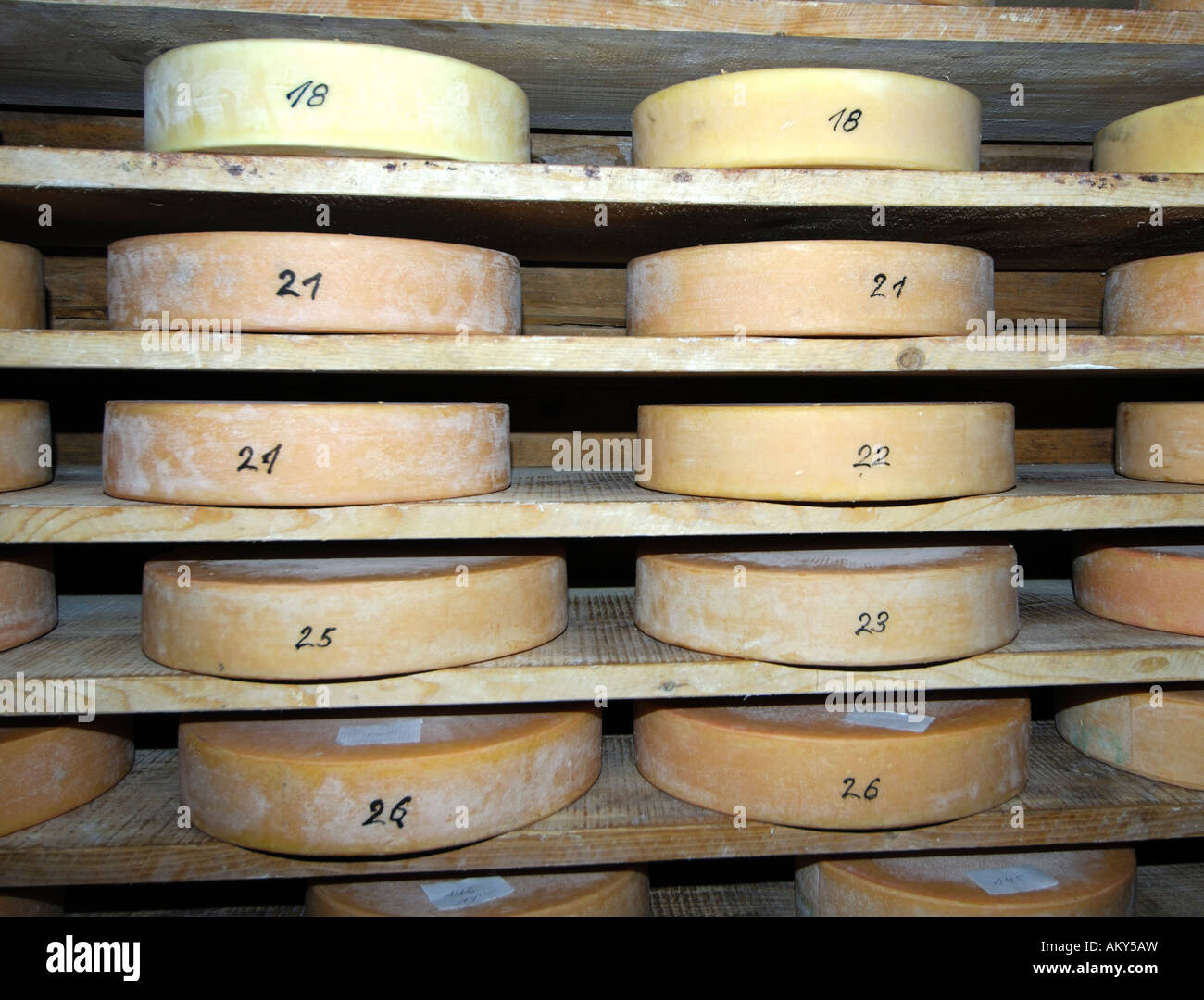 Wheels of Alp cheese in the storehouse of a cheese dairy, Switzerland Stock Photo