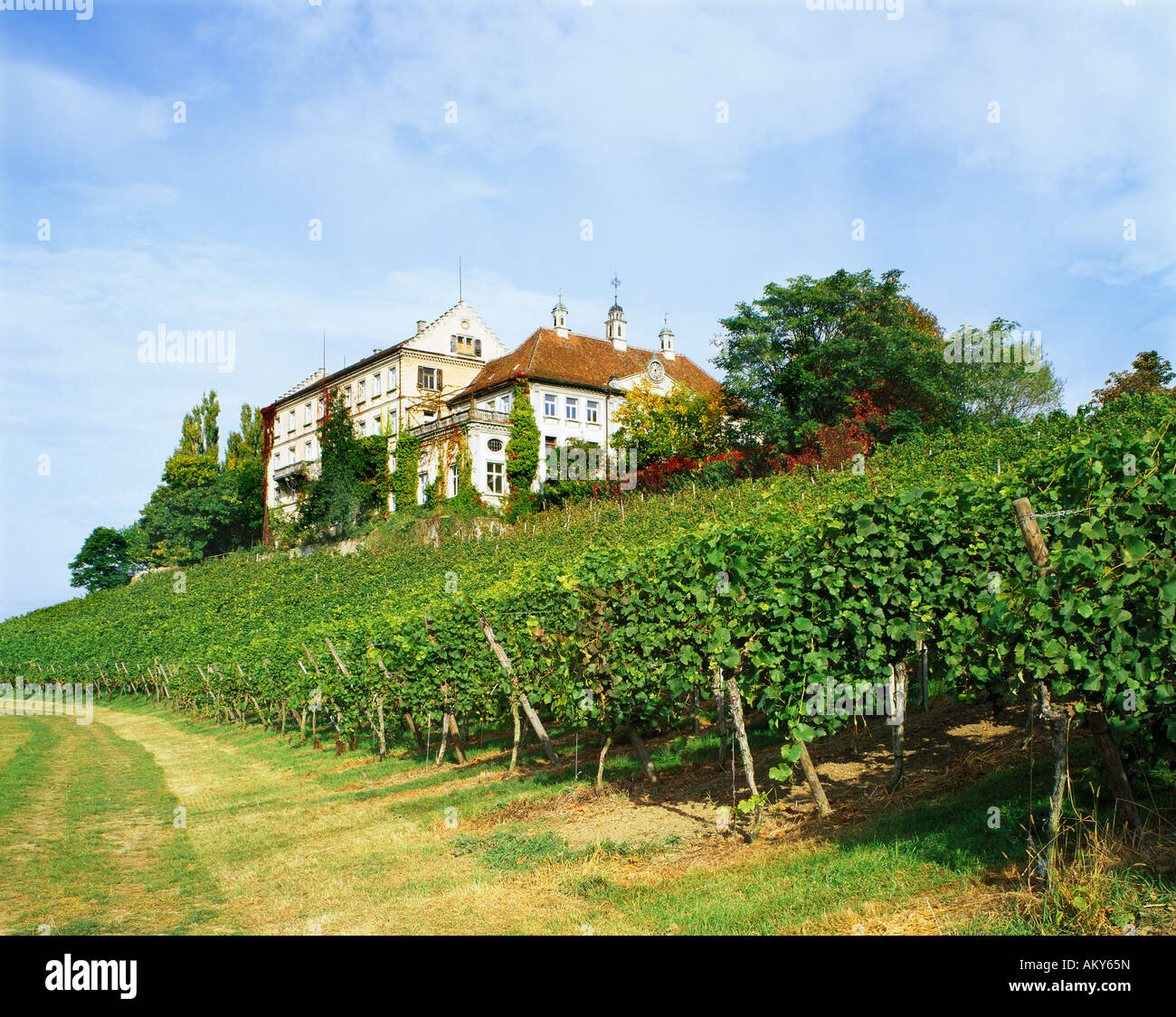 Kirchberg castle upon the Lake Constance Baden-Wuerttemberg Germany Stock Photo