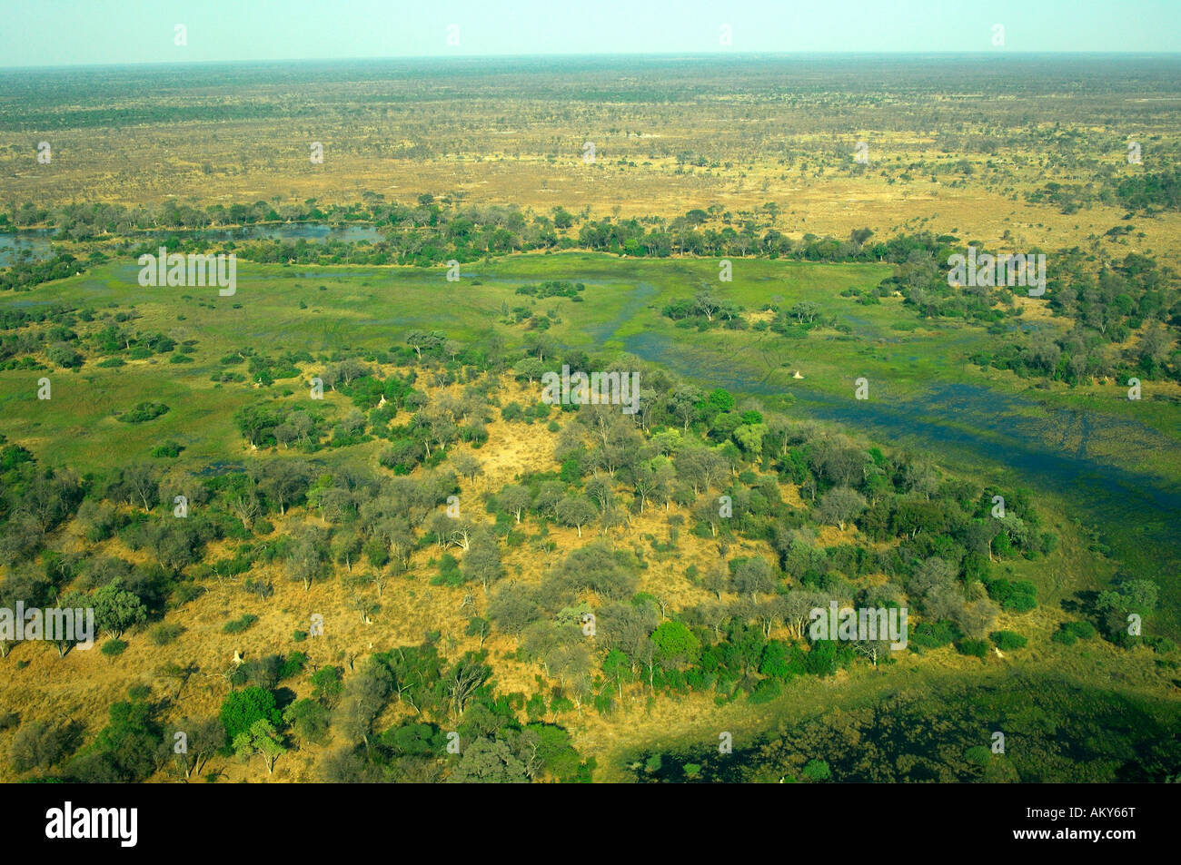 Aerial view of the Okavango Delta, Botswana Stock Photo