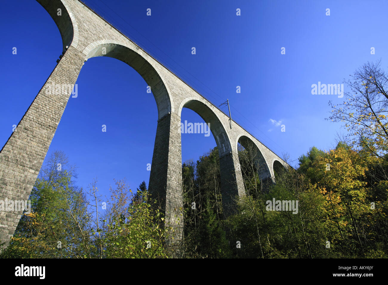 Train viaduct near Luetisburg in autumn colors, St. Gall, Switzerland Stock Photo