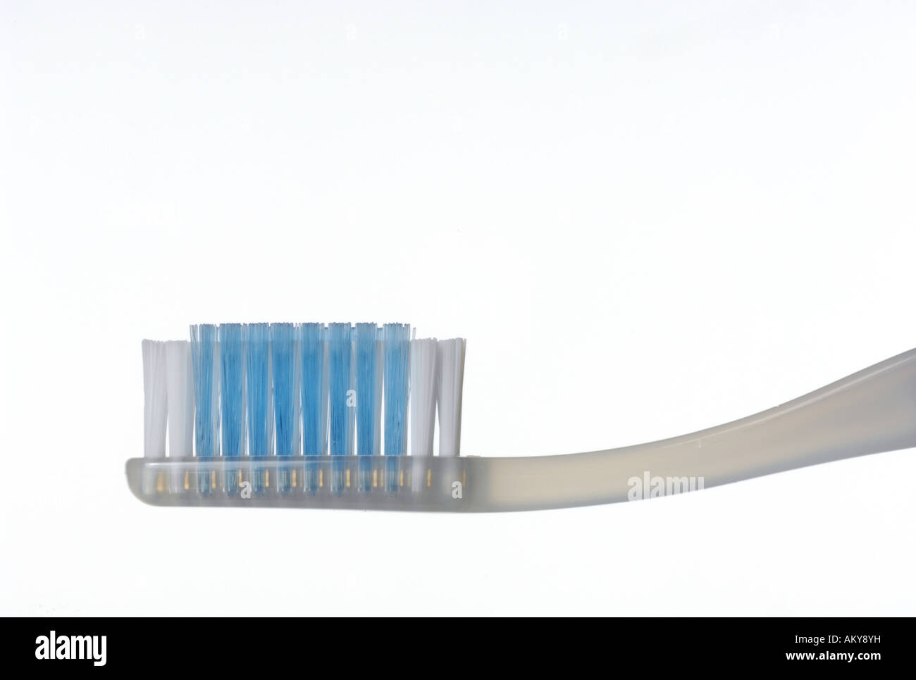 Tooth brush Stock Photo