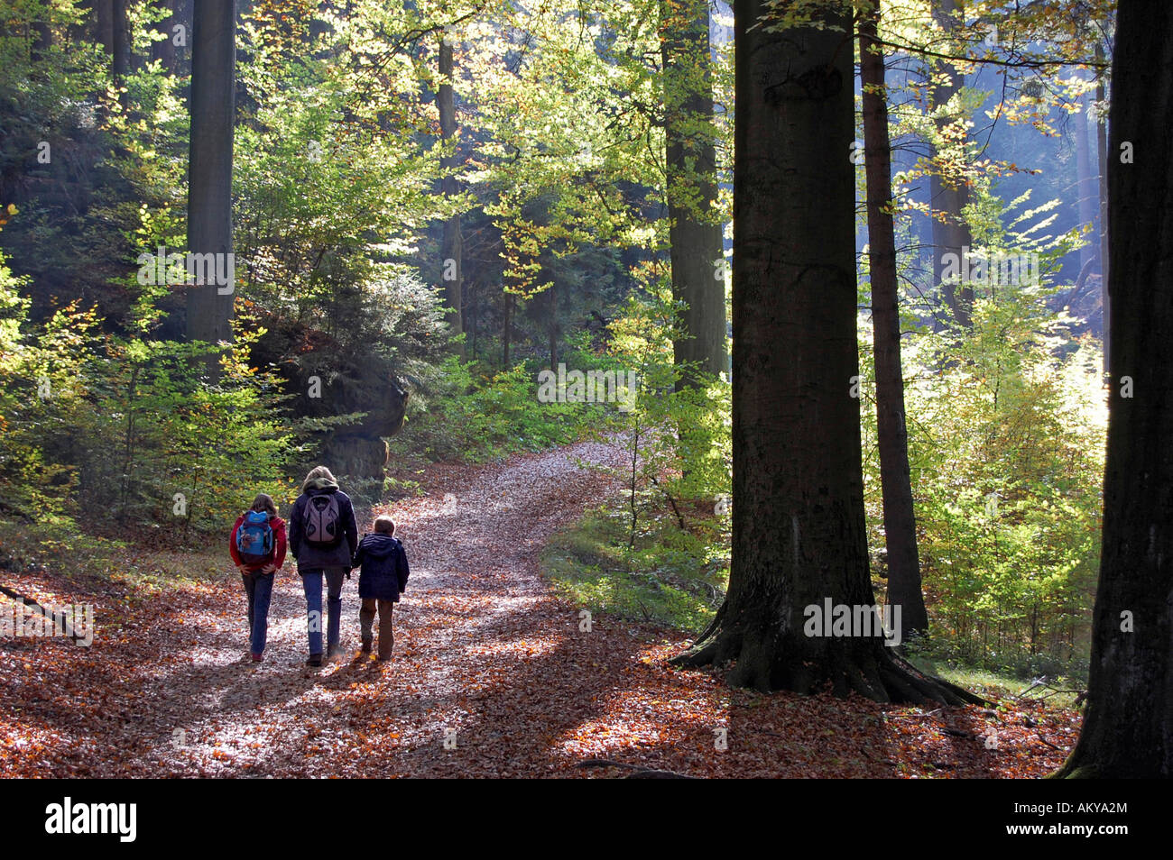 Woman and children hiking through the forest, Saxonia, Germany Stock Photo