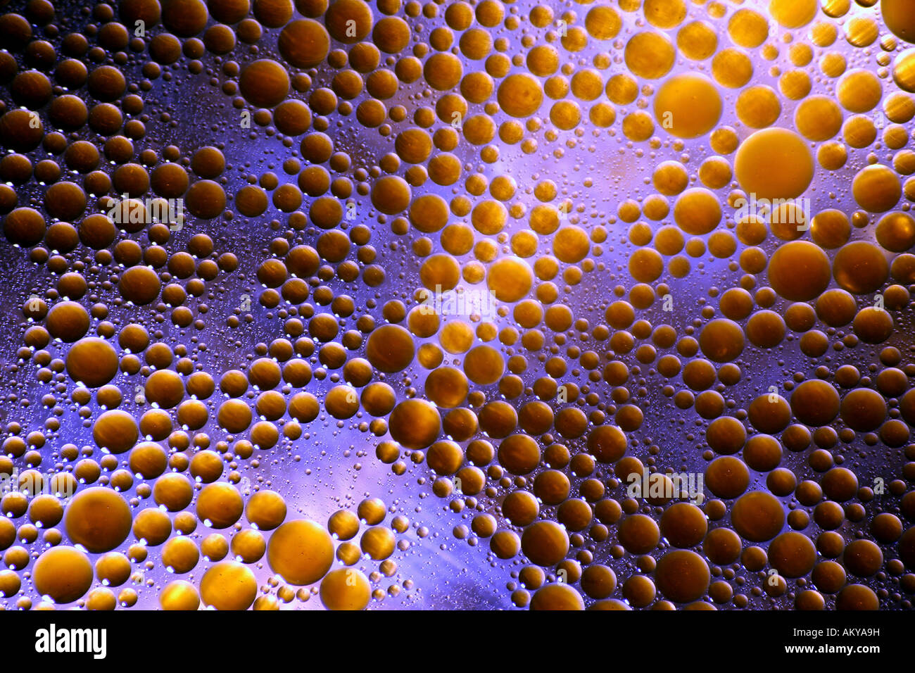 Grease drops hi-res stock photography and images - Alamy