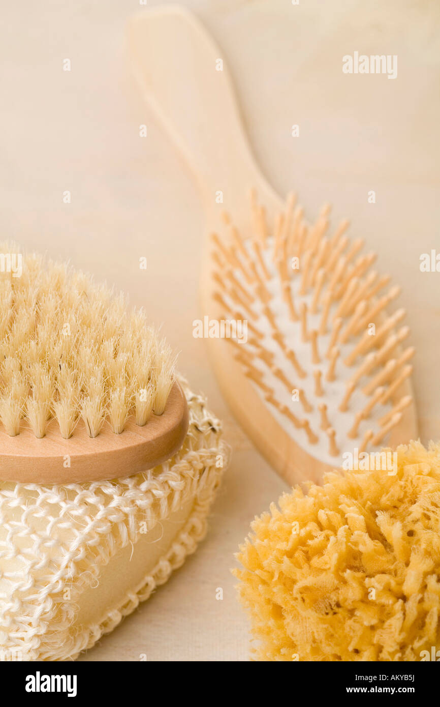Brushes and a sponge Stock Photo Alamy