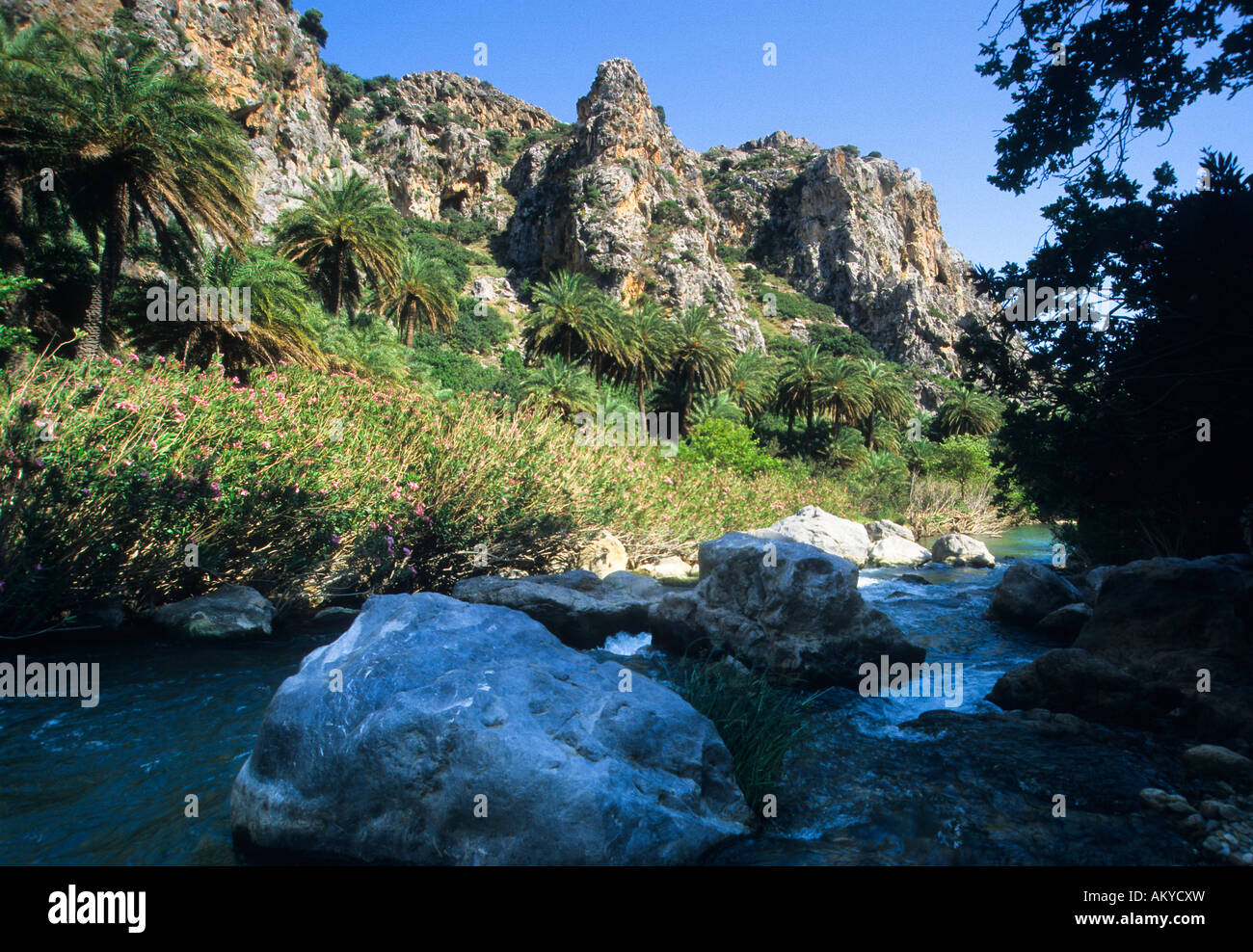 Valley with brook, Moni Preveli, Crete, Greece Stock Photo