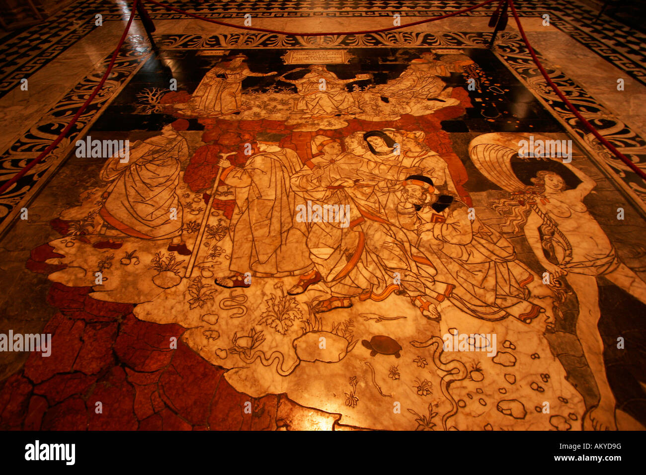 Marble floor with biblical scenes, sibyls, virtues, Siena Cathedral, Tuscany, Italy, Europe Stock Photo