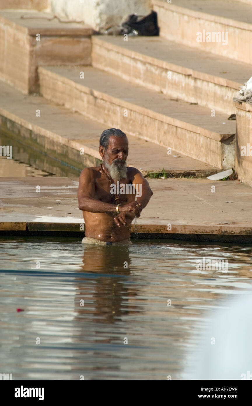 A Hindu pilgrim bathes in the sacred waters of Pushkar Lake at Gangour Ghat, Pushkar, Rajasthan, India. - Stock Image