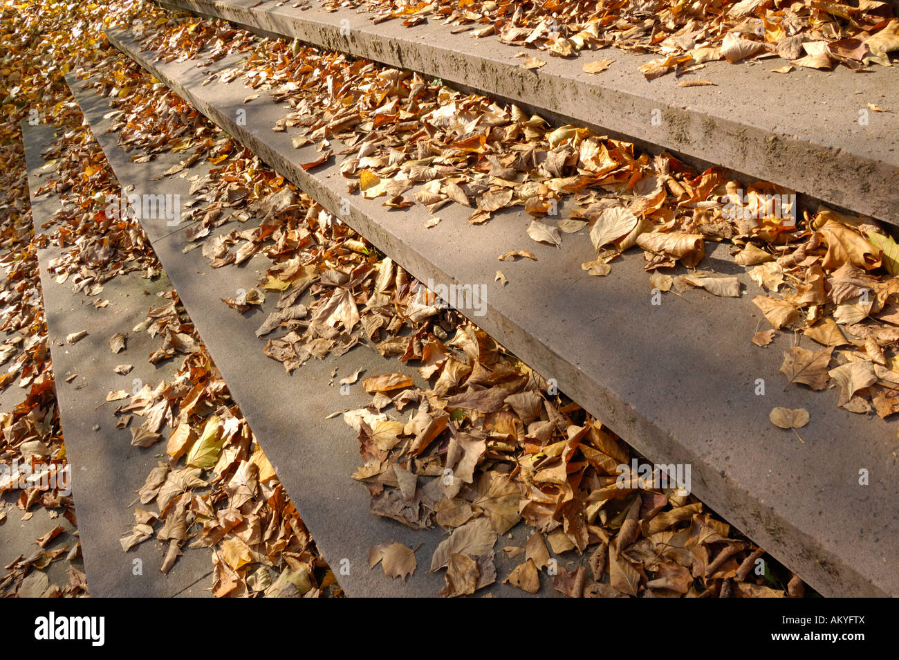 Stairs covered with leaves Stock Photo