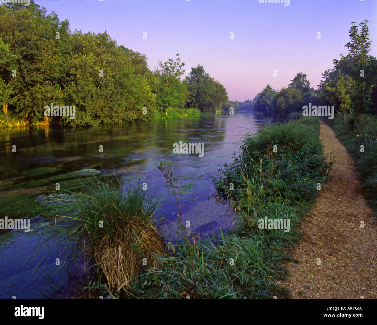 River Itchen near Ovington Hampshire England Early morning atmosphere Itchen Way Path August Stock Photo