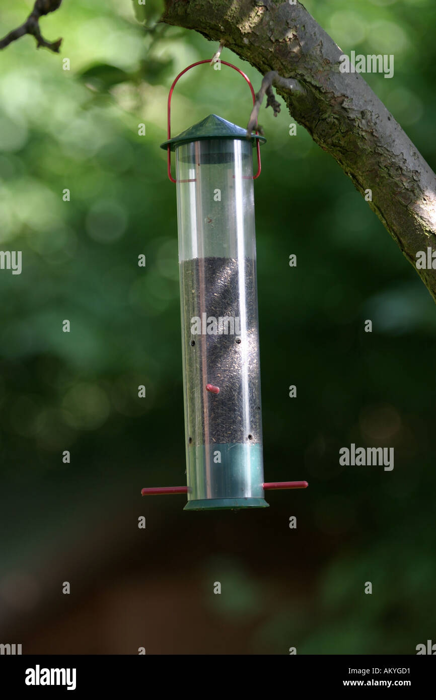 Niger Nyger seed bird feeder popular with finches Stock Photo Alamy