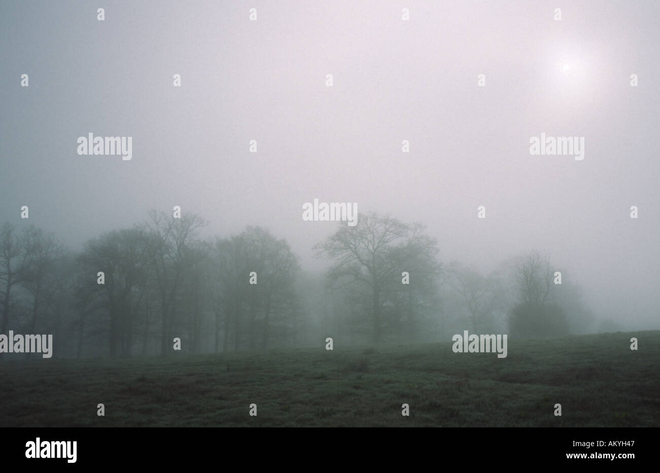 Kent Countryside Uk Winter Hi res Stock Photography And Images Alamy Kent Countryside Uk Winter Hi res Stock Photography And Images Alamy