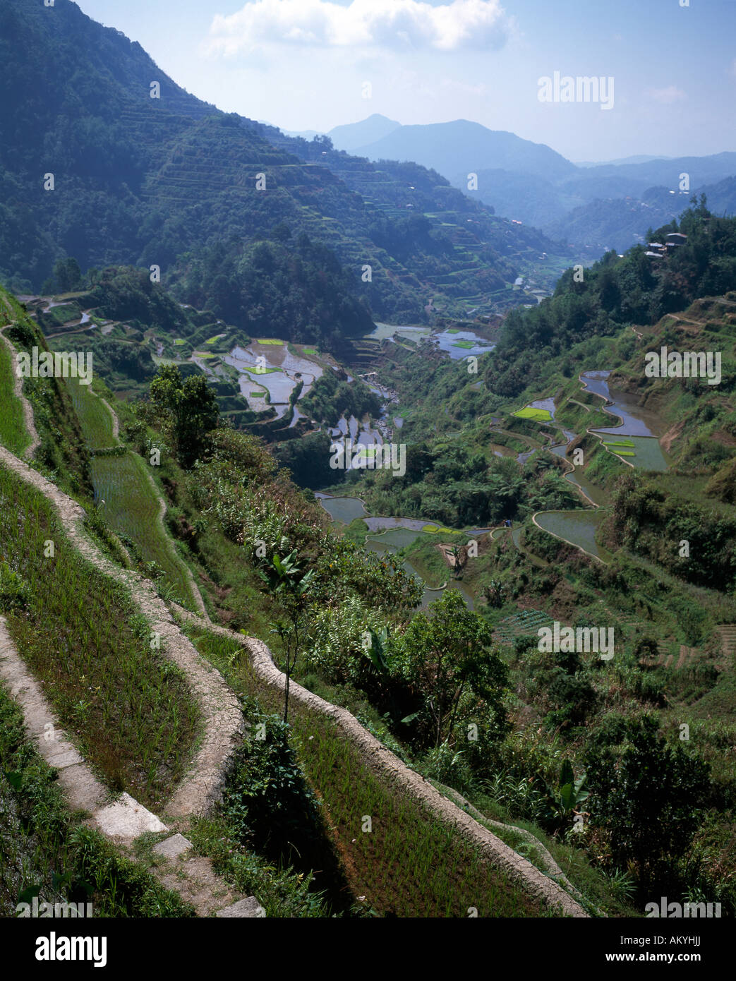 Valley of huge old rice terraces at Banaue , Philippines Stock Photo ...