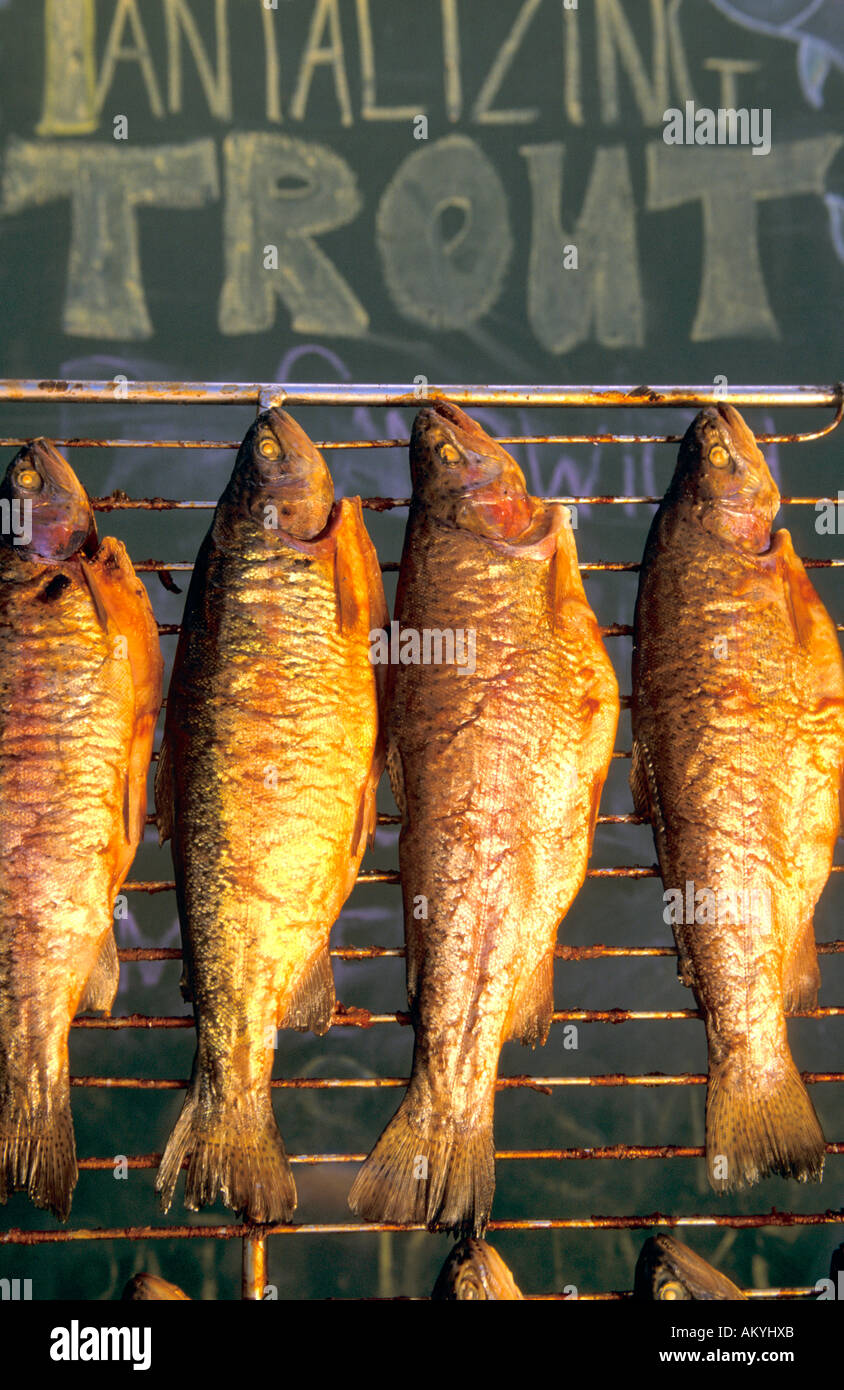 Smoked trout, Australia Stock Photo - Alamy