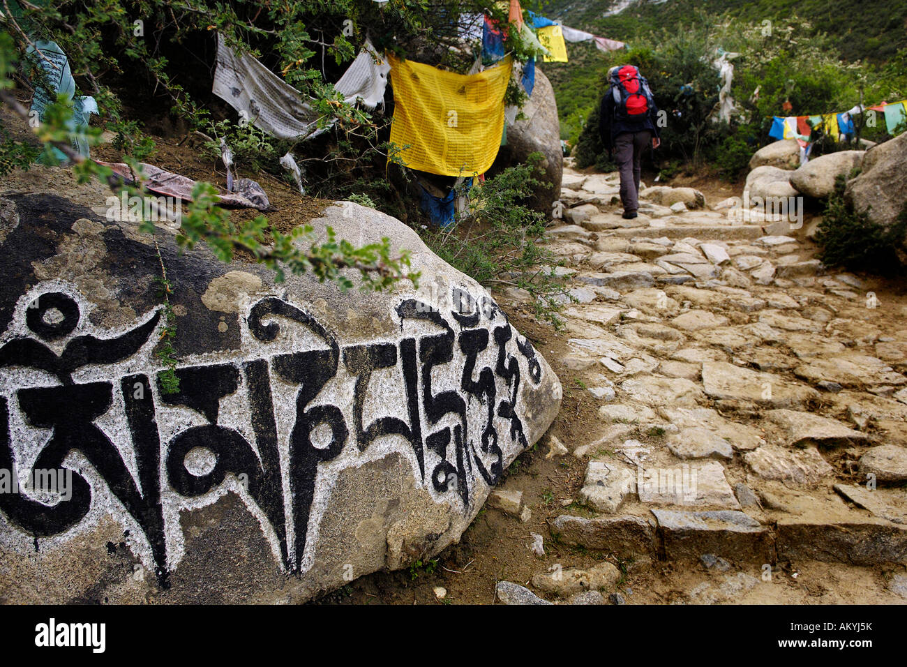 Prayer flags and mani stone, way to Chim-puk Hermitage, Tibet Stock Photo