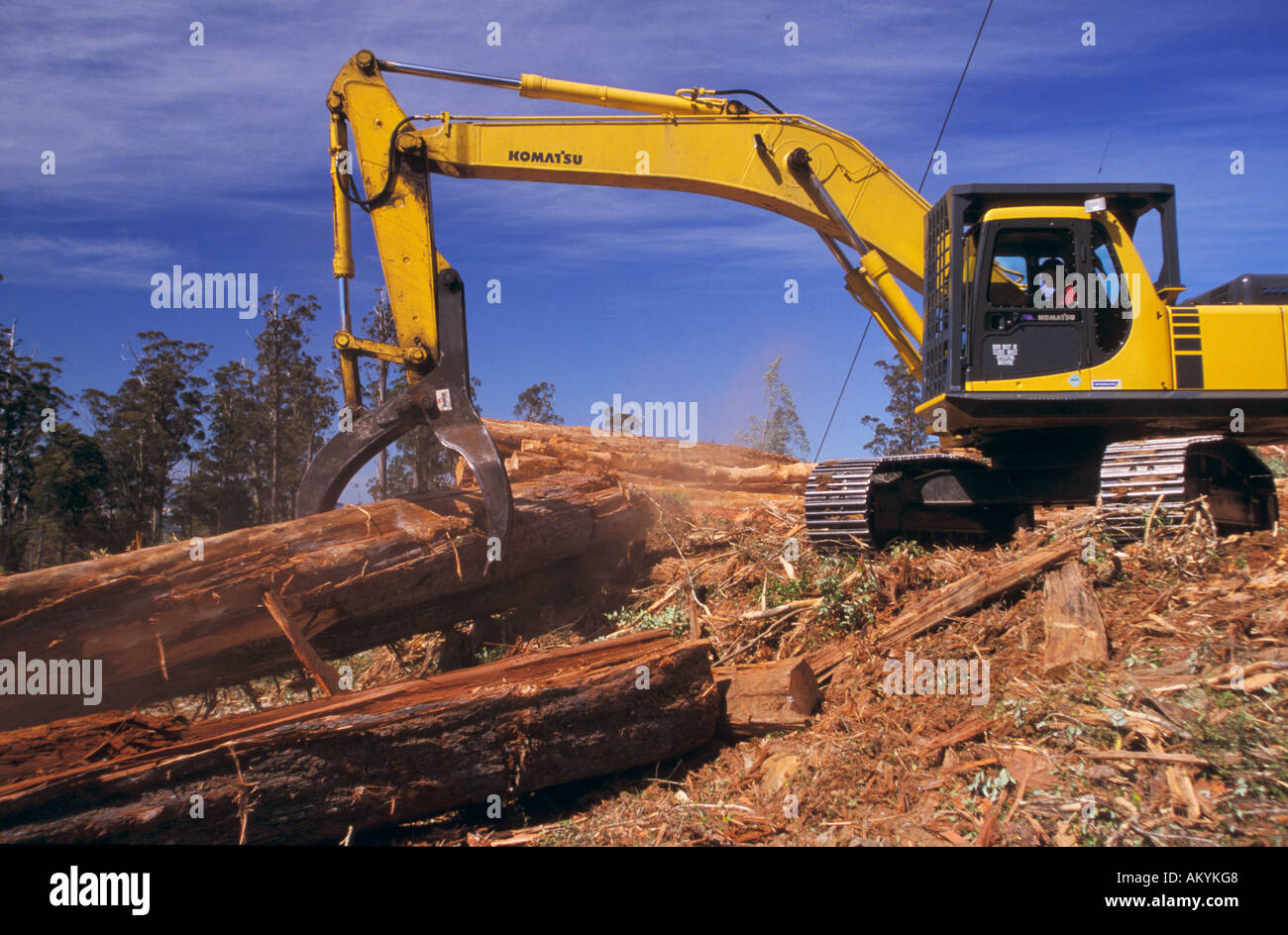 Timber industry, Tasmania, Australia Stock Photo Alamy