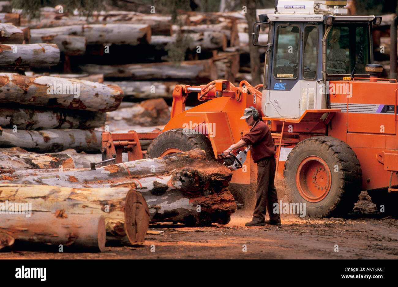 Timber industry, Victoria Australia Stock Photo Alamy