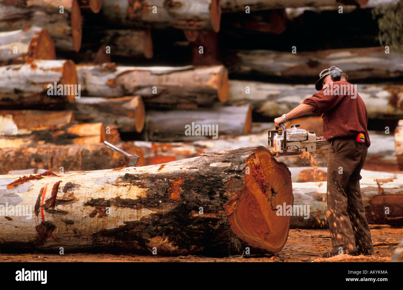 Timber industry, Victoria Australia Stock Photo Alamy