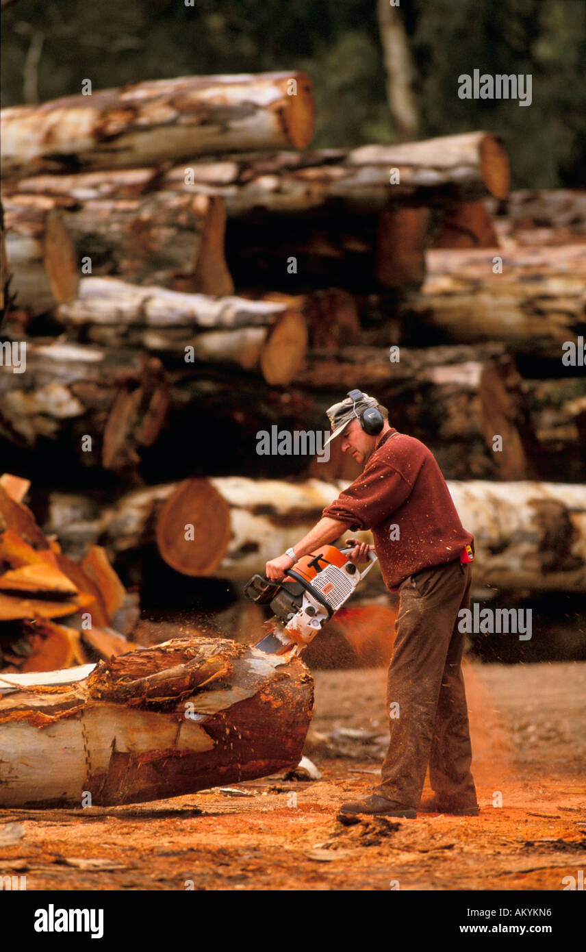 Timber industry, Victoria Australia Stock Photo - Alamy