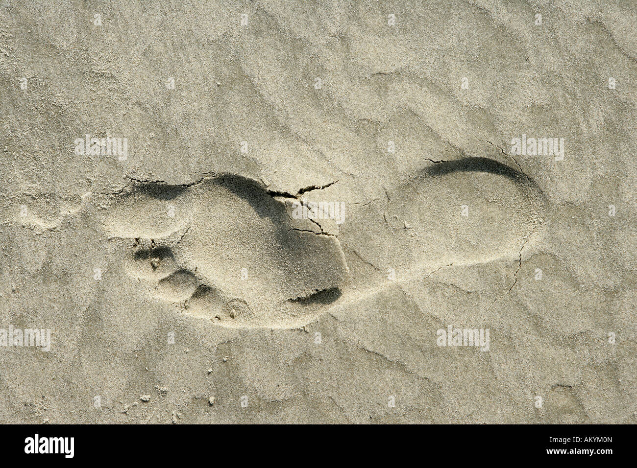 Foot print in the sand Stock Photo