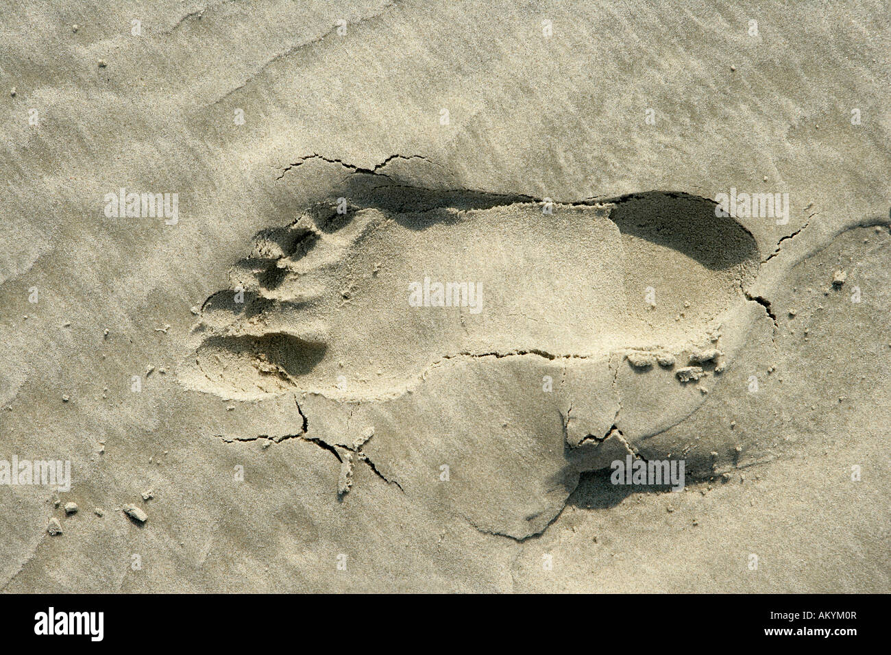 Footprint in the sand Stock Photo Alamy
