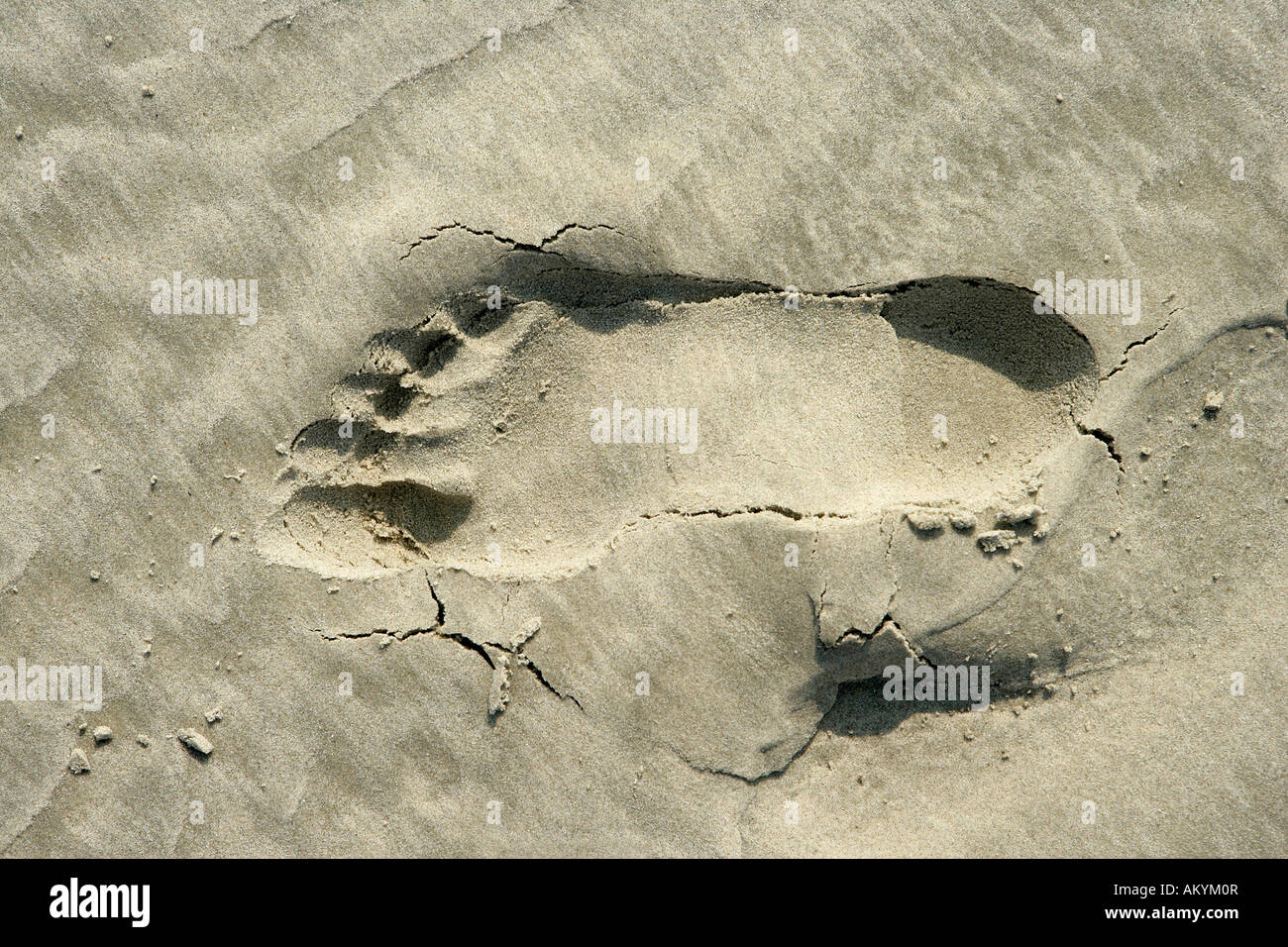 Footprint in the sand Stock Photo