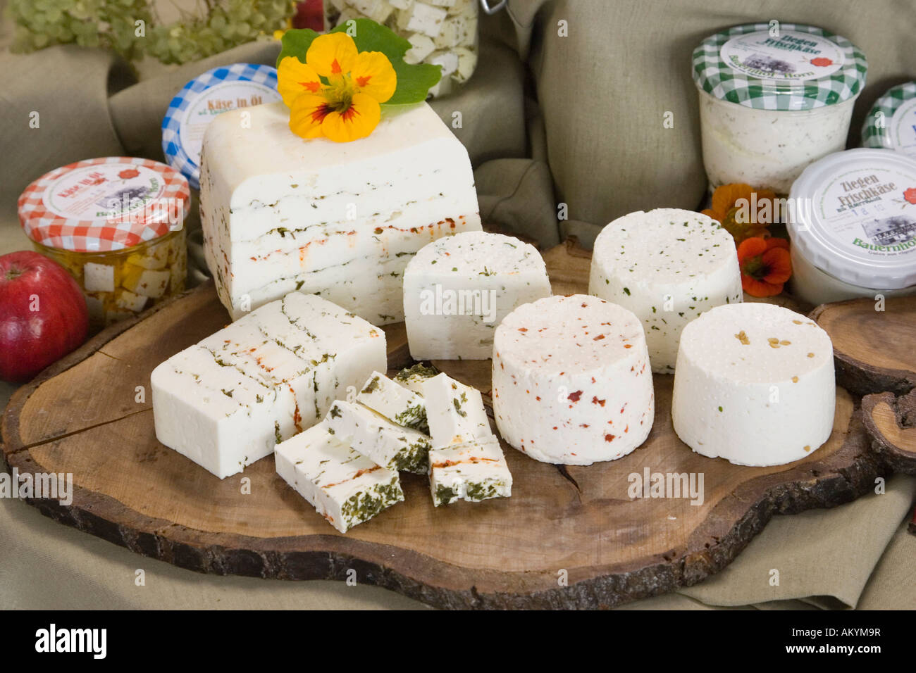 Different types of cheese Stock Photo