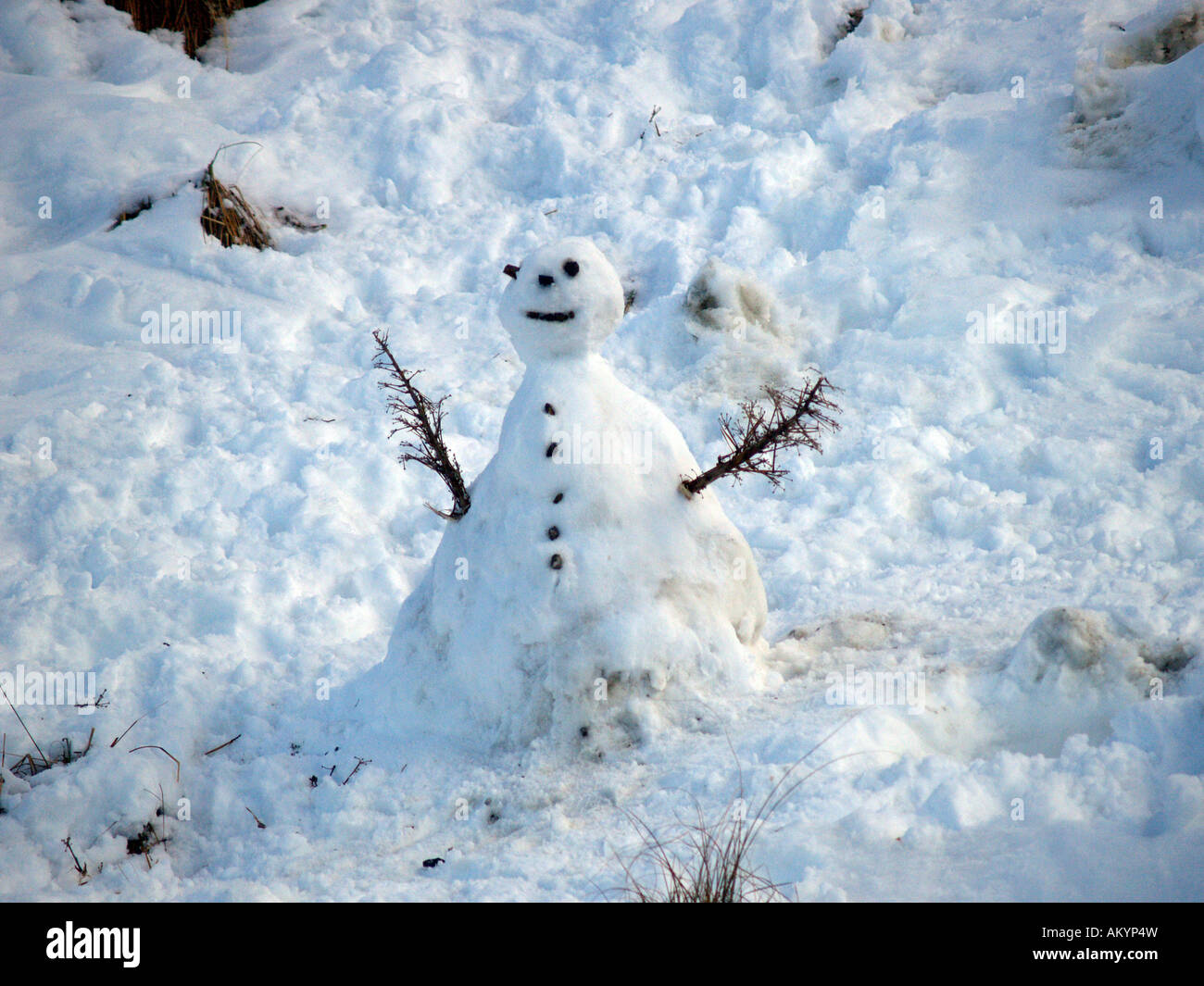 Melting snowman hi-res stock photography and images - Alamy