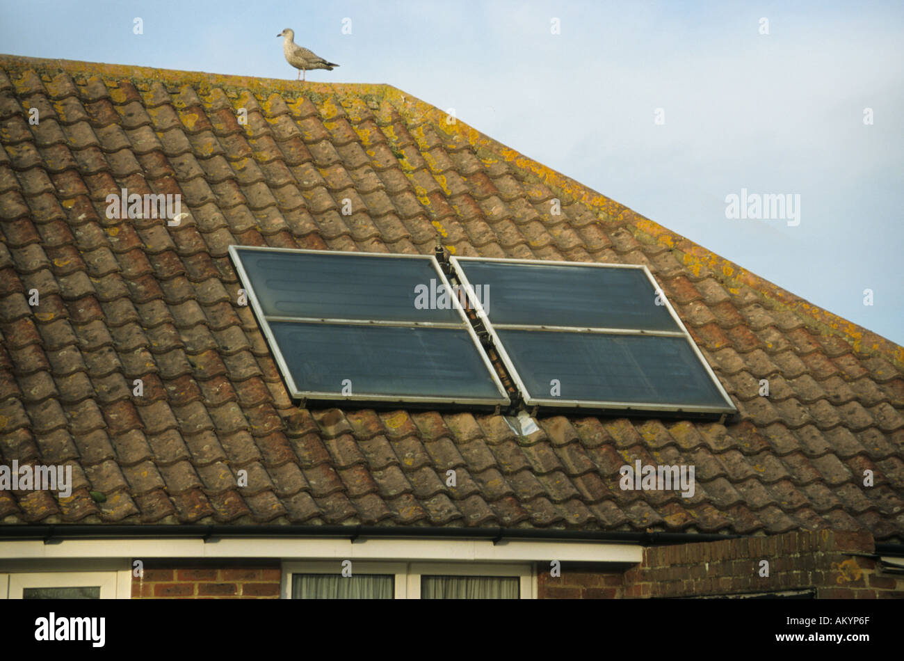 energy efficient solar panels on a residential house Sussex Stock Photo