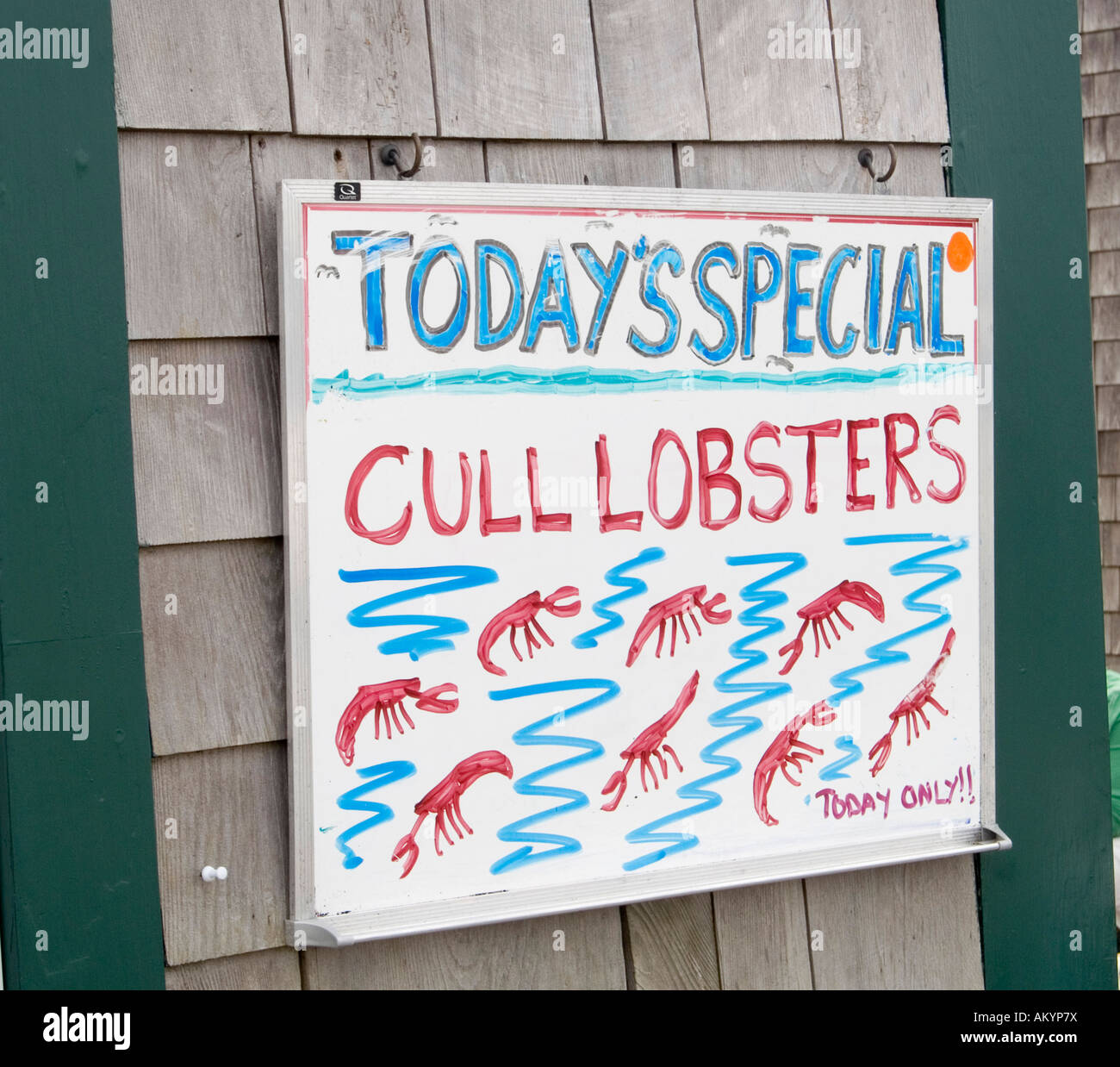 A quirky hand made sign advertising Today's Special as Cull Lobsters ...