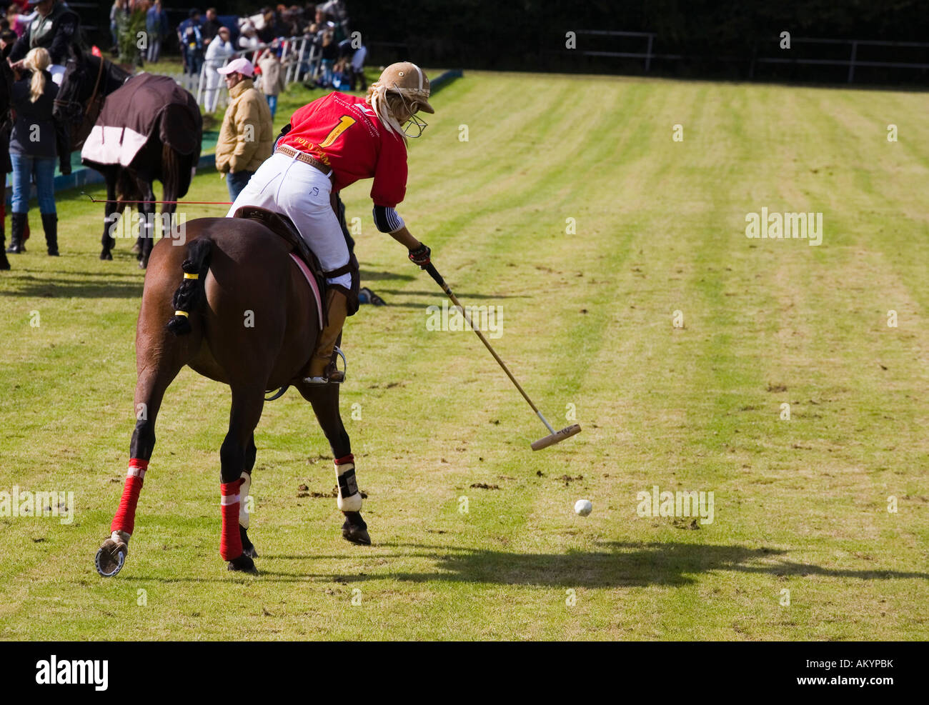 Polo tournament, Timmendorf, Schleswig-Holstein, Germany Stock Photo